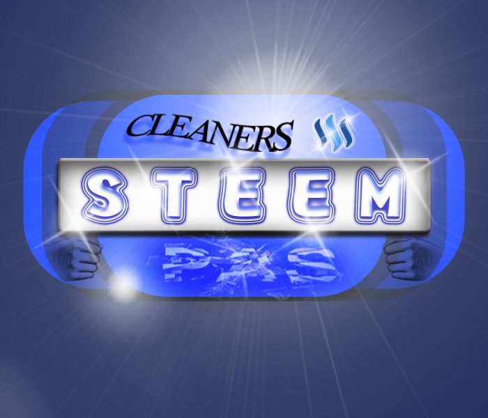 steem cleaners6b.jpg