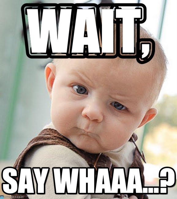 what-4.jpg