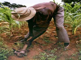 African-Farmer.jpg