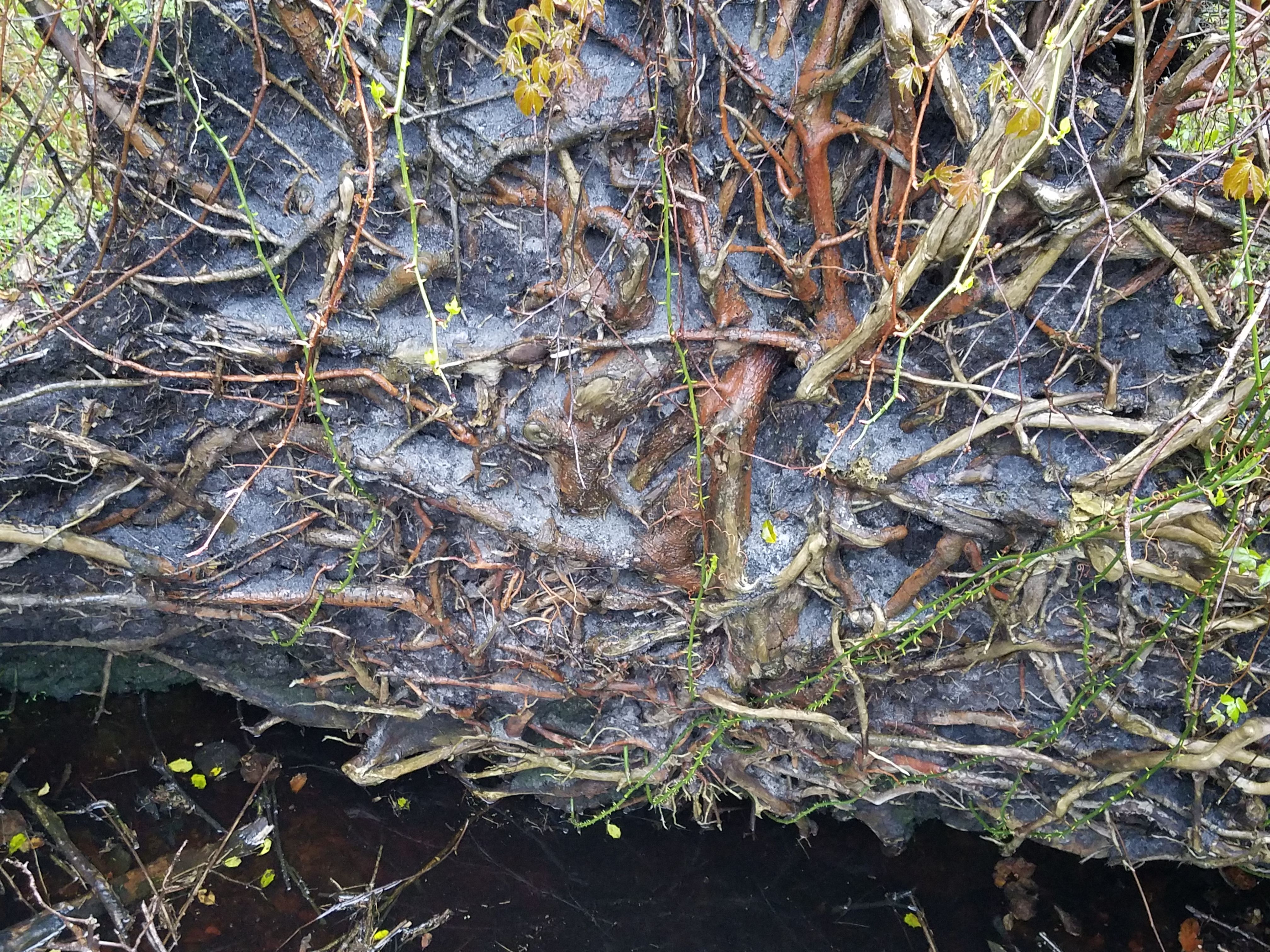 20180519_190828.jpg