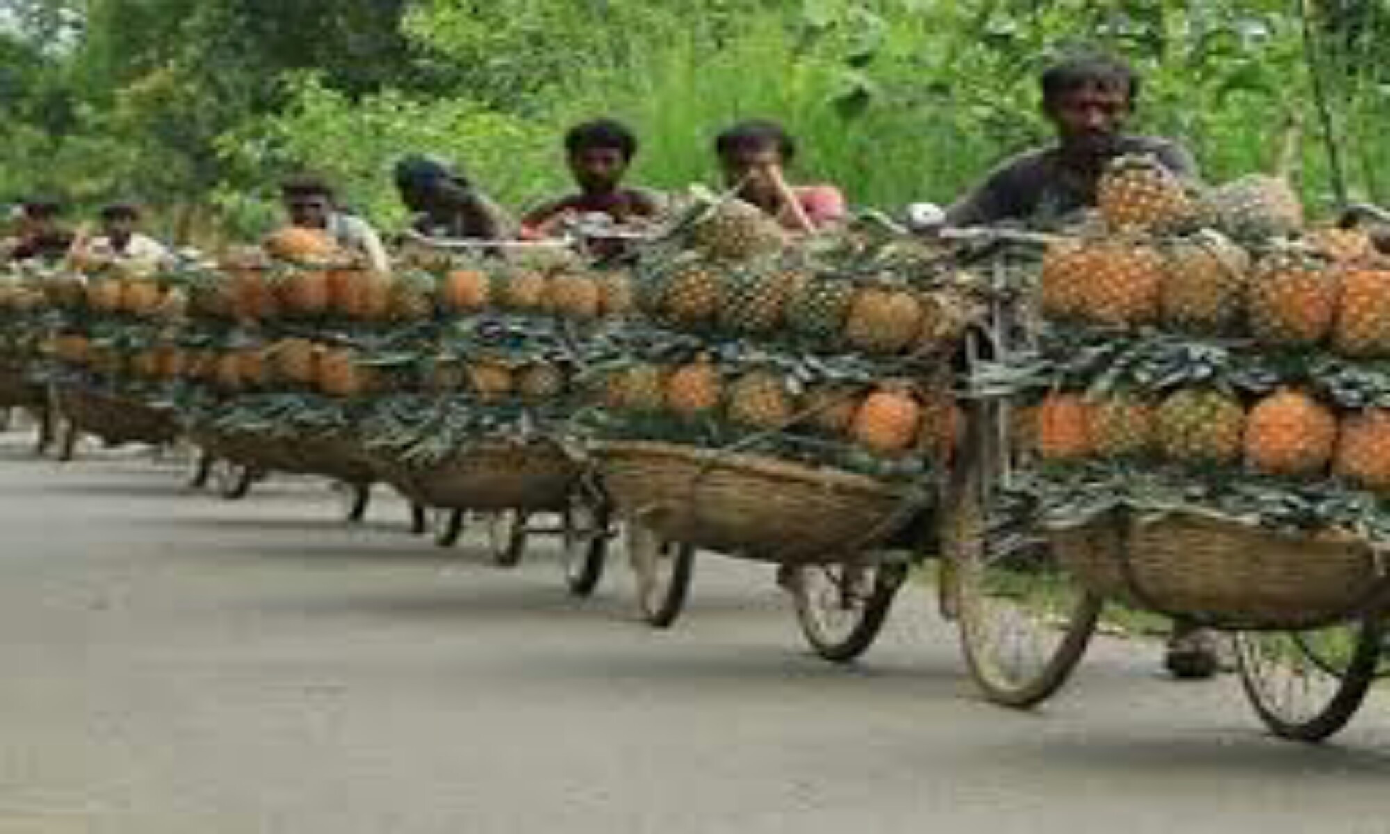 The Season Of Fruits In Bangladesh the-season-of-fruits-in-bangladesh