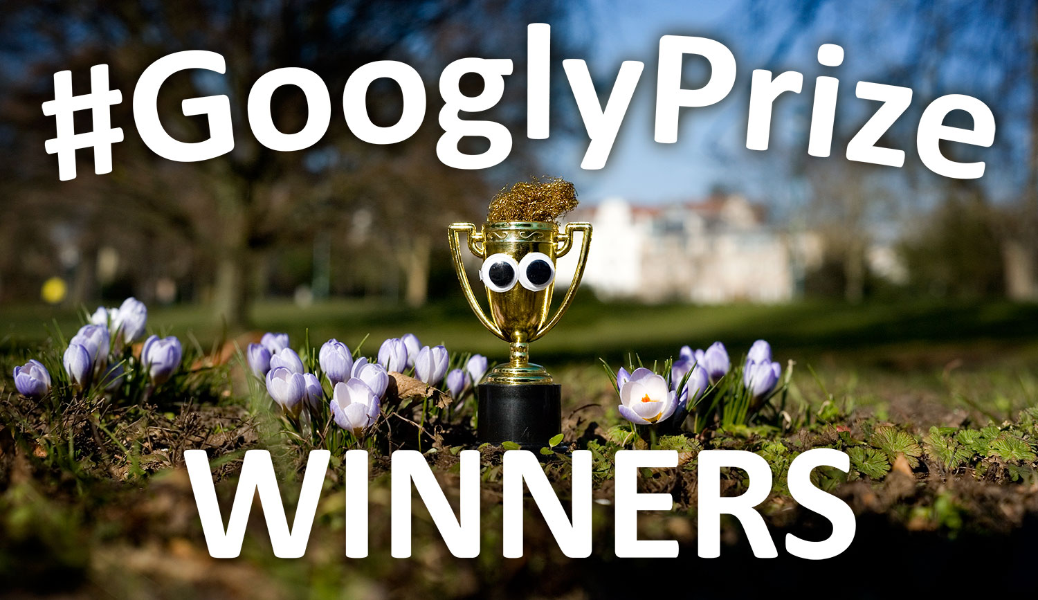 GooglyPrize Winners 34