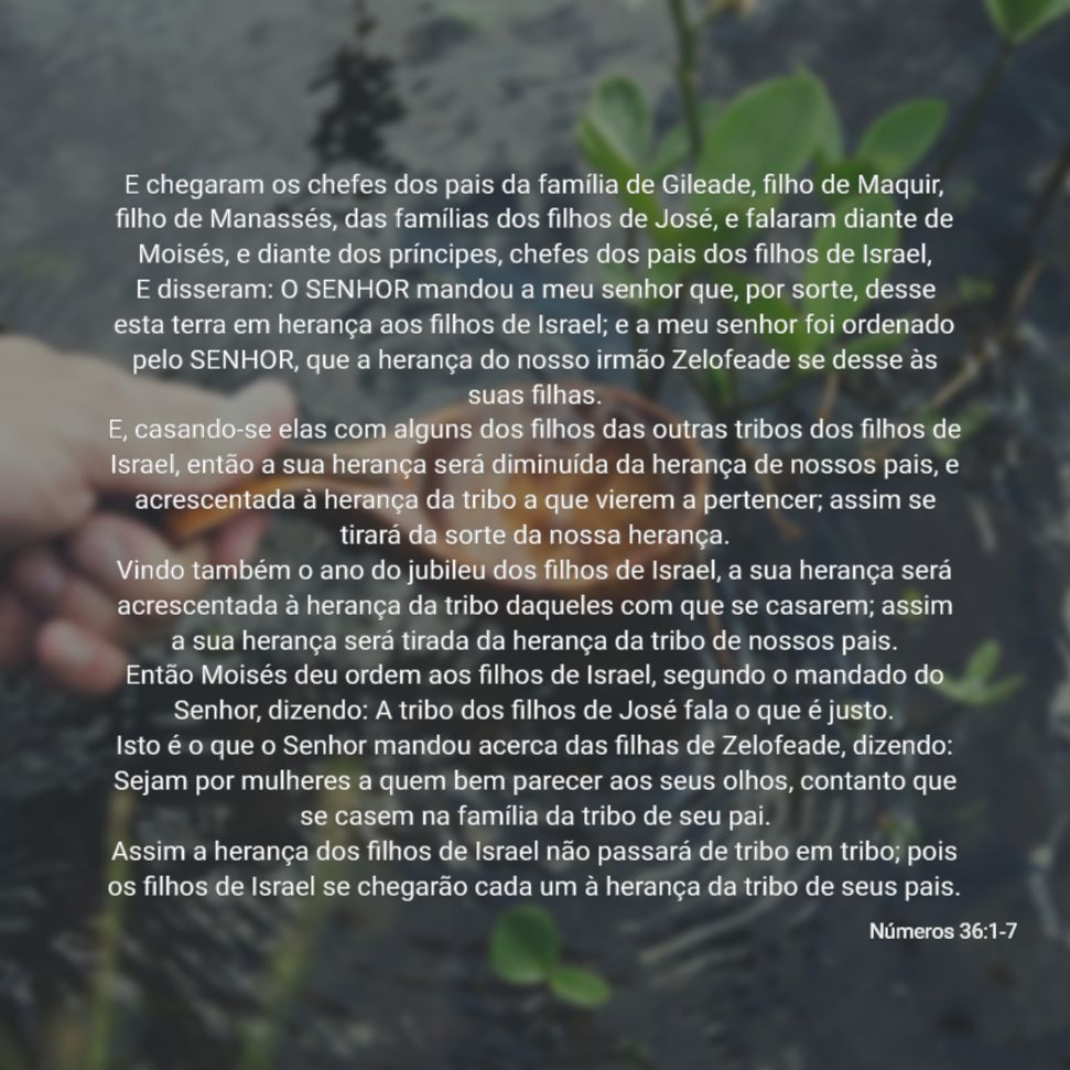 bol_Números_36_1-7.png