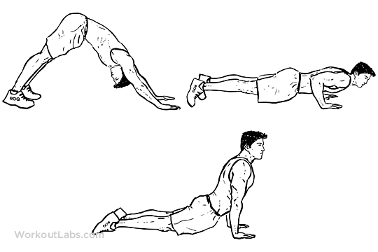 Dive_Bomber_Push-up_M_WorkoutLabs.png