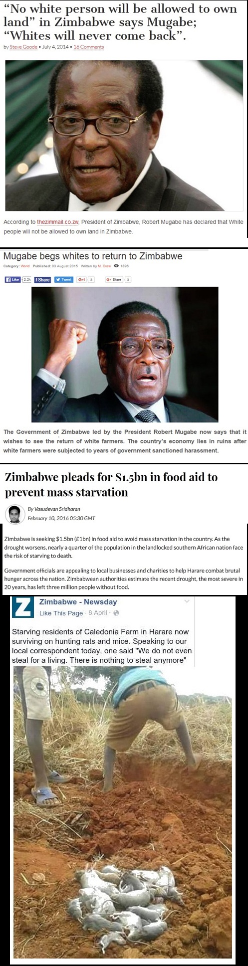 zimbabwe1.jpg