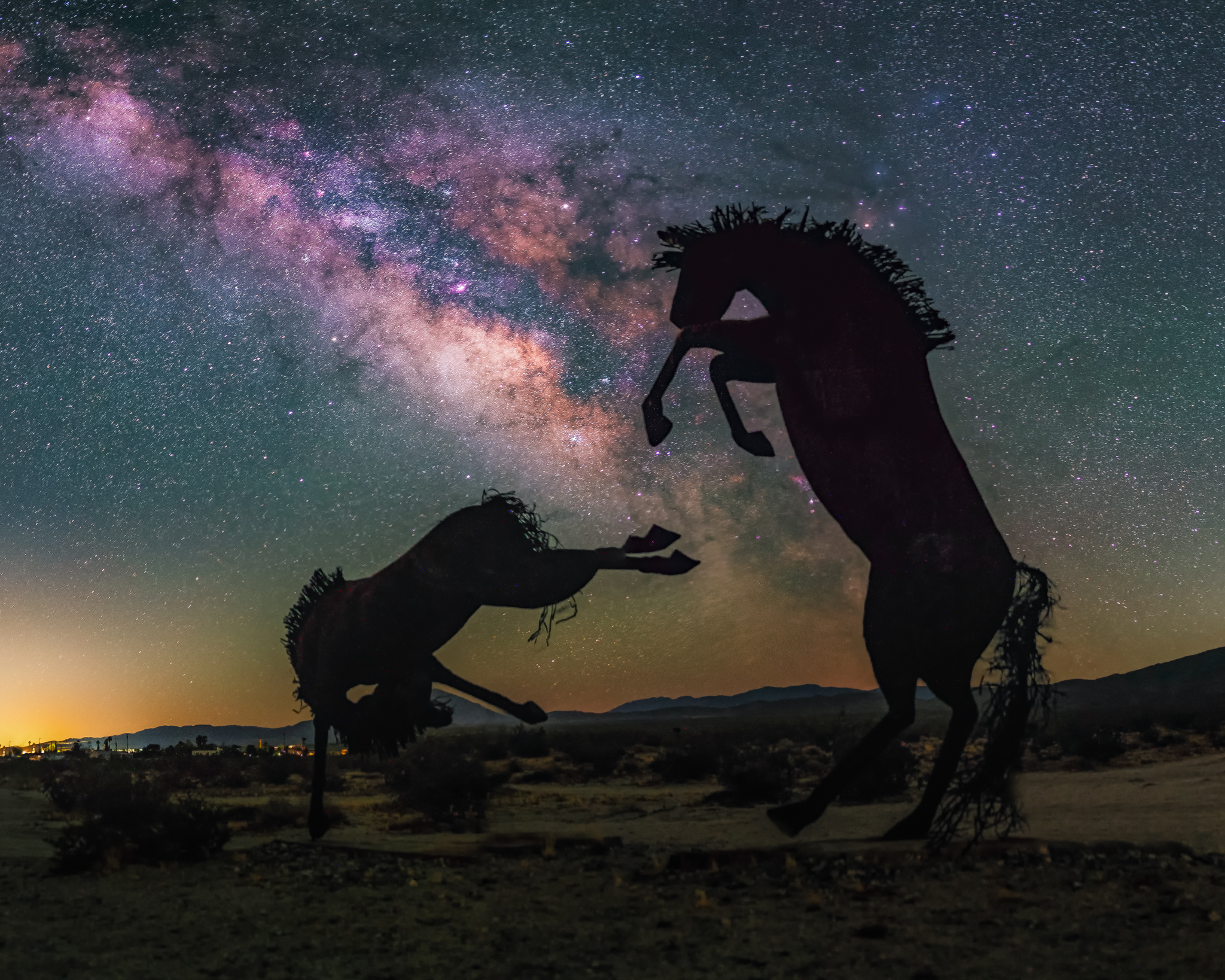 borrego_horses-1.jpg