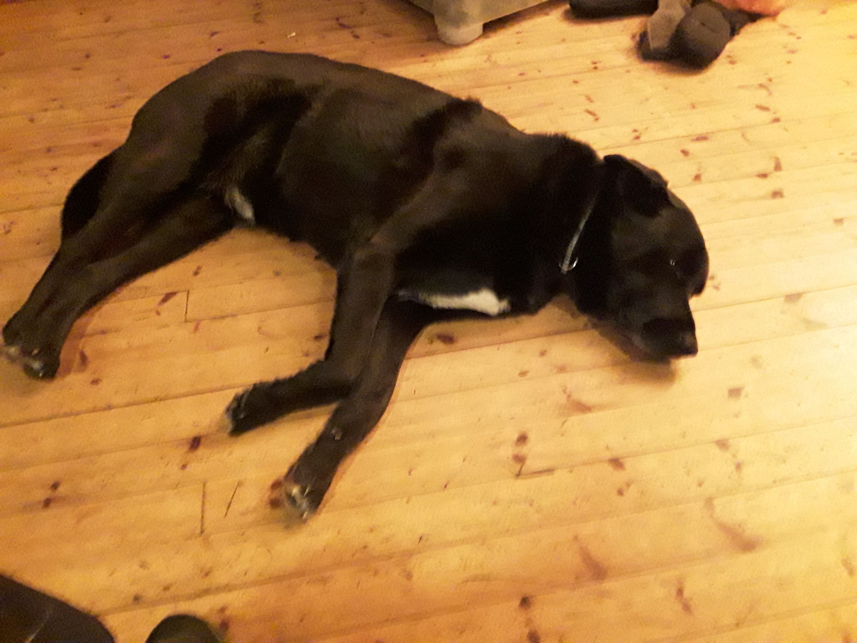 20180226_205323.jpg