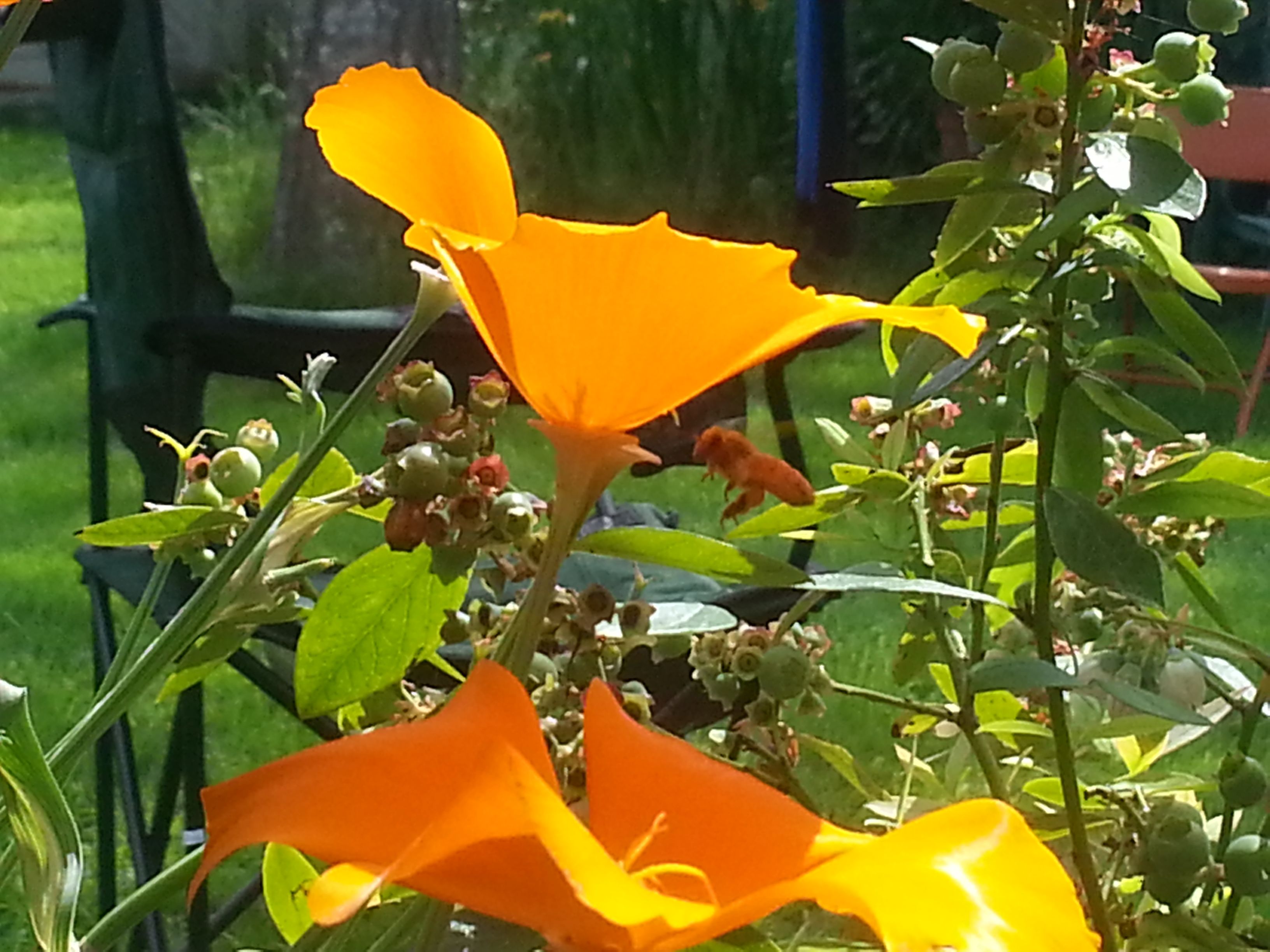 20180519_153530.jpg