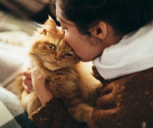 beso_gato_11111.jpg