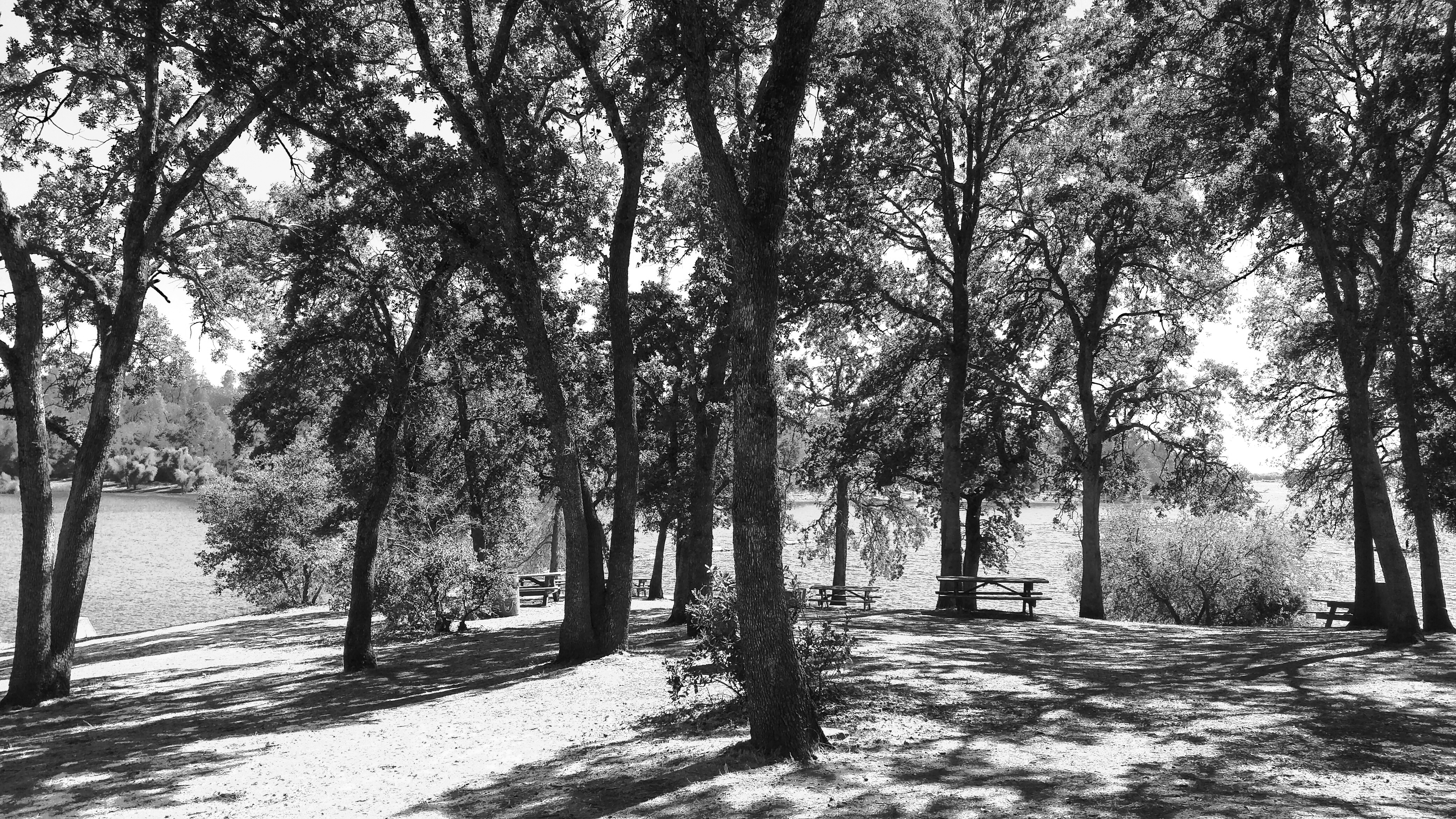 IMG_20170814_153740-colors01-shady trees-playing-at-the-park#136.jpg