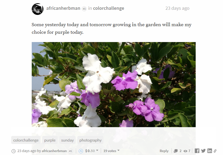 oldarticle.png