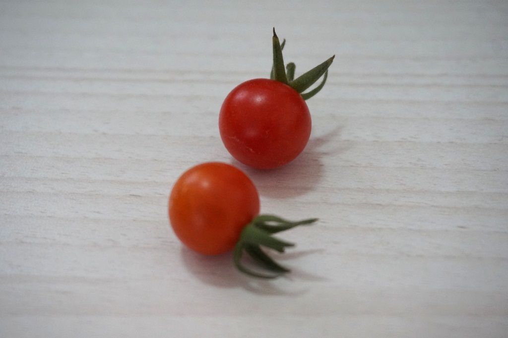 tomato1.JPG