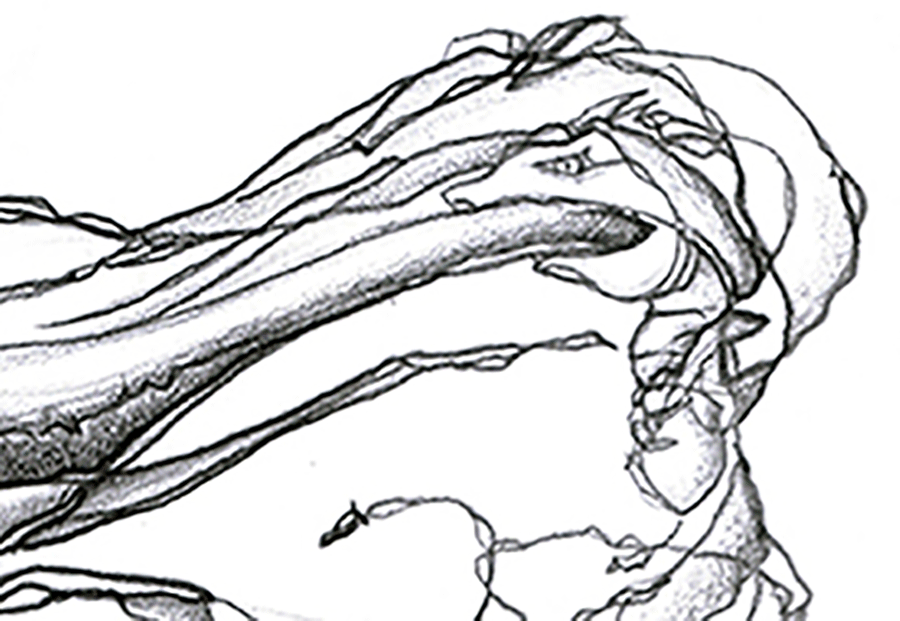 disegni_2_libro_penna_particolare_carlo_varchetta_grovigli_astratto_firmato.png