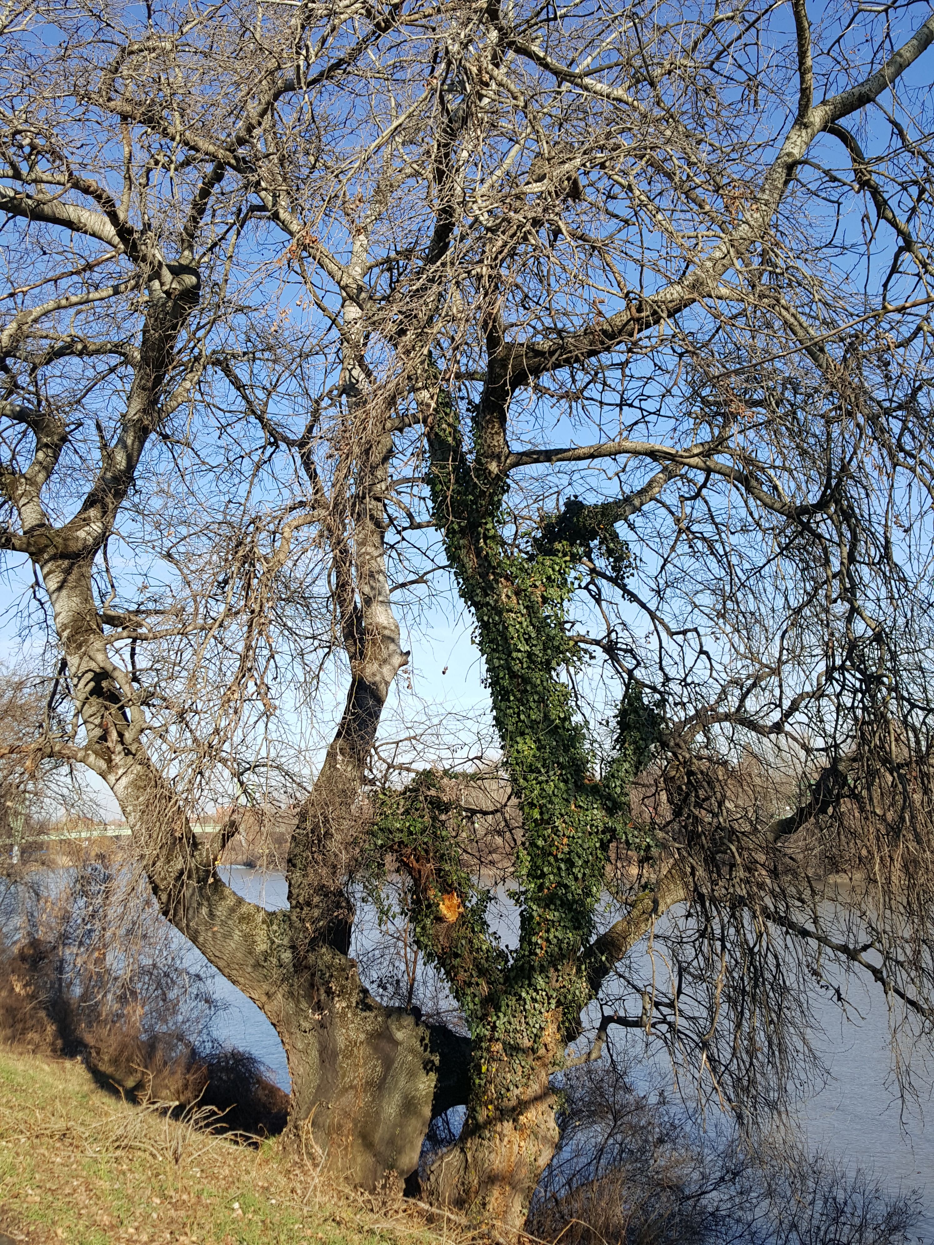 20171226_115451.jpg