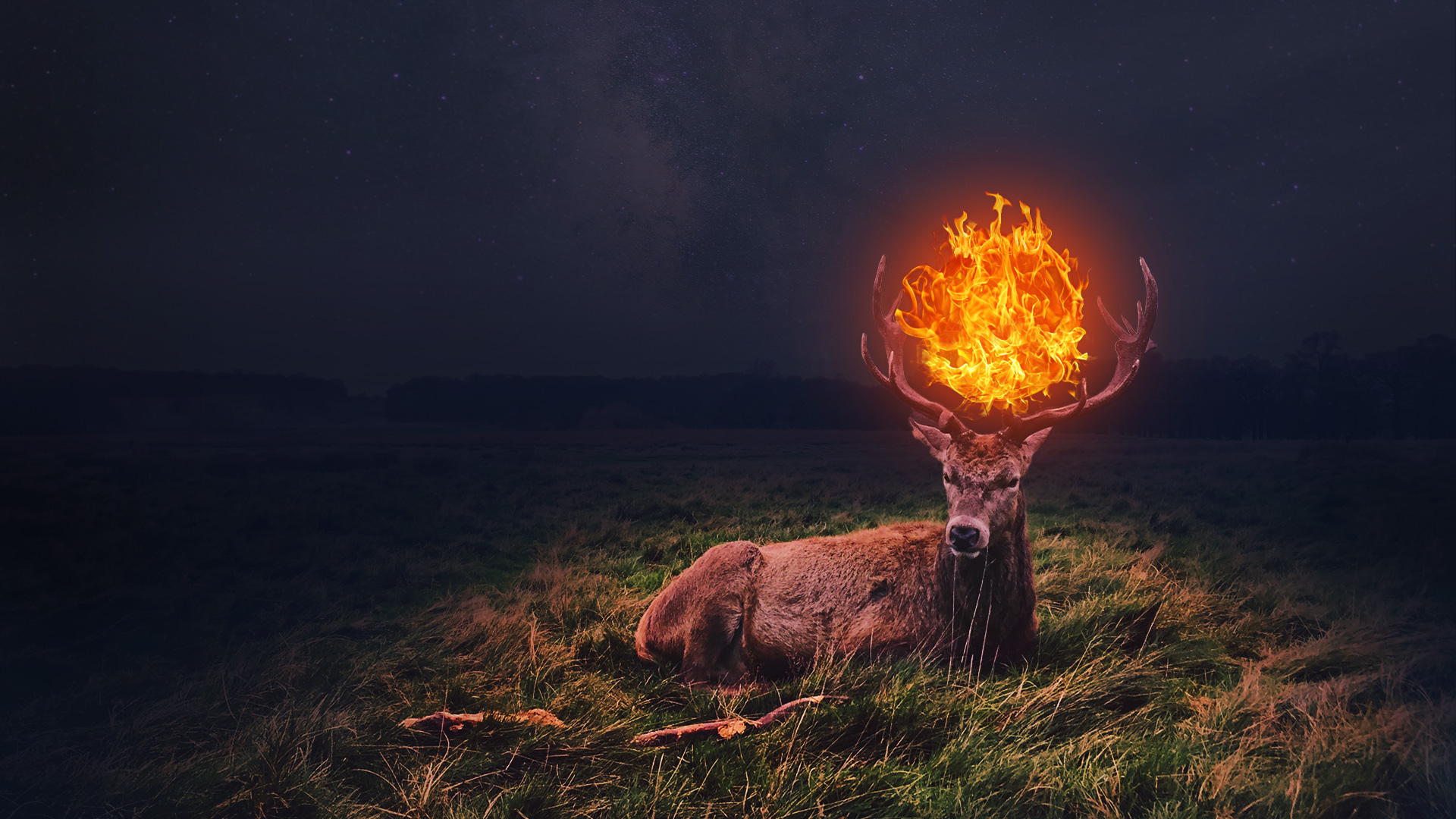 Deer-fire.jpg