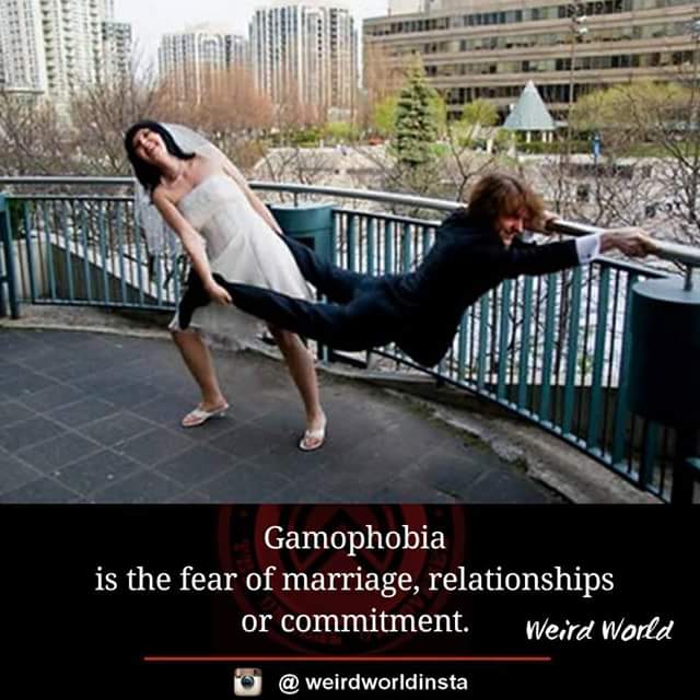 FB_IMG_1511747427498.jpg