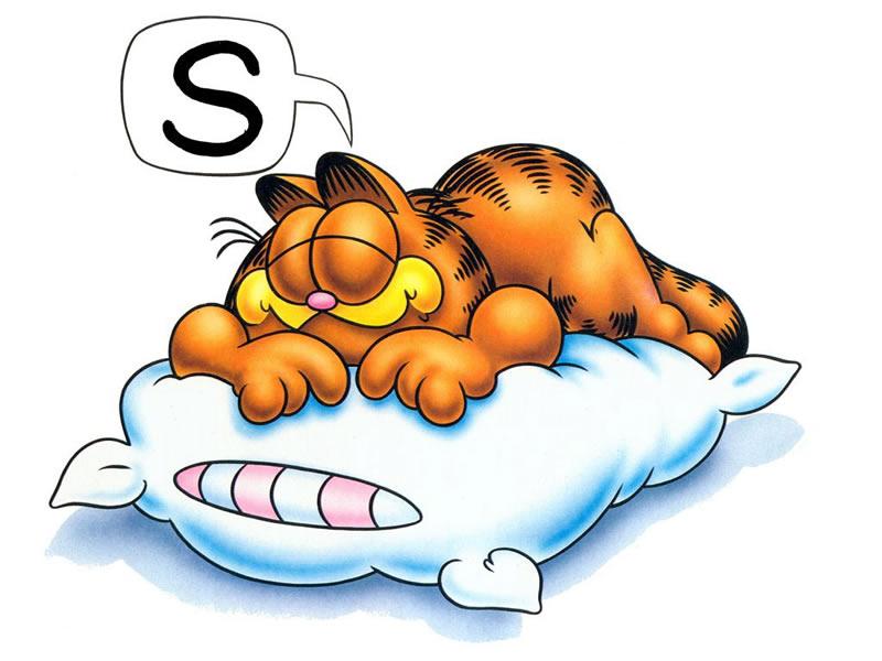 Sleep-Garfield.adfda5eac93f86b7cec2b96e433a4fe6.jpg