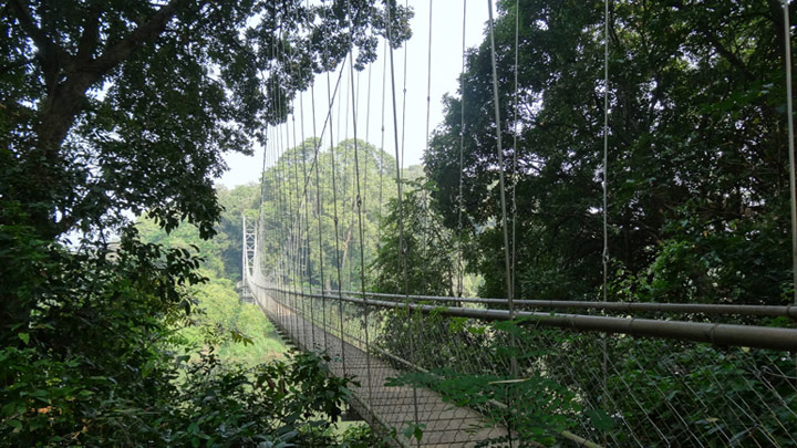 Nilambur.jpg