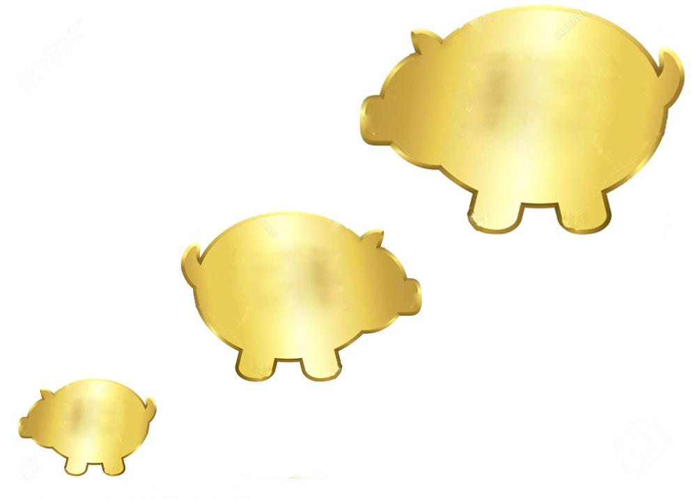 Bitcoin Belly edited 3PIGS.png