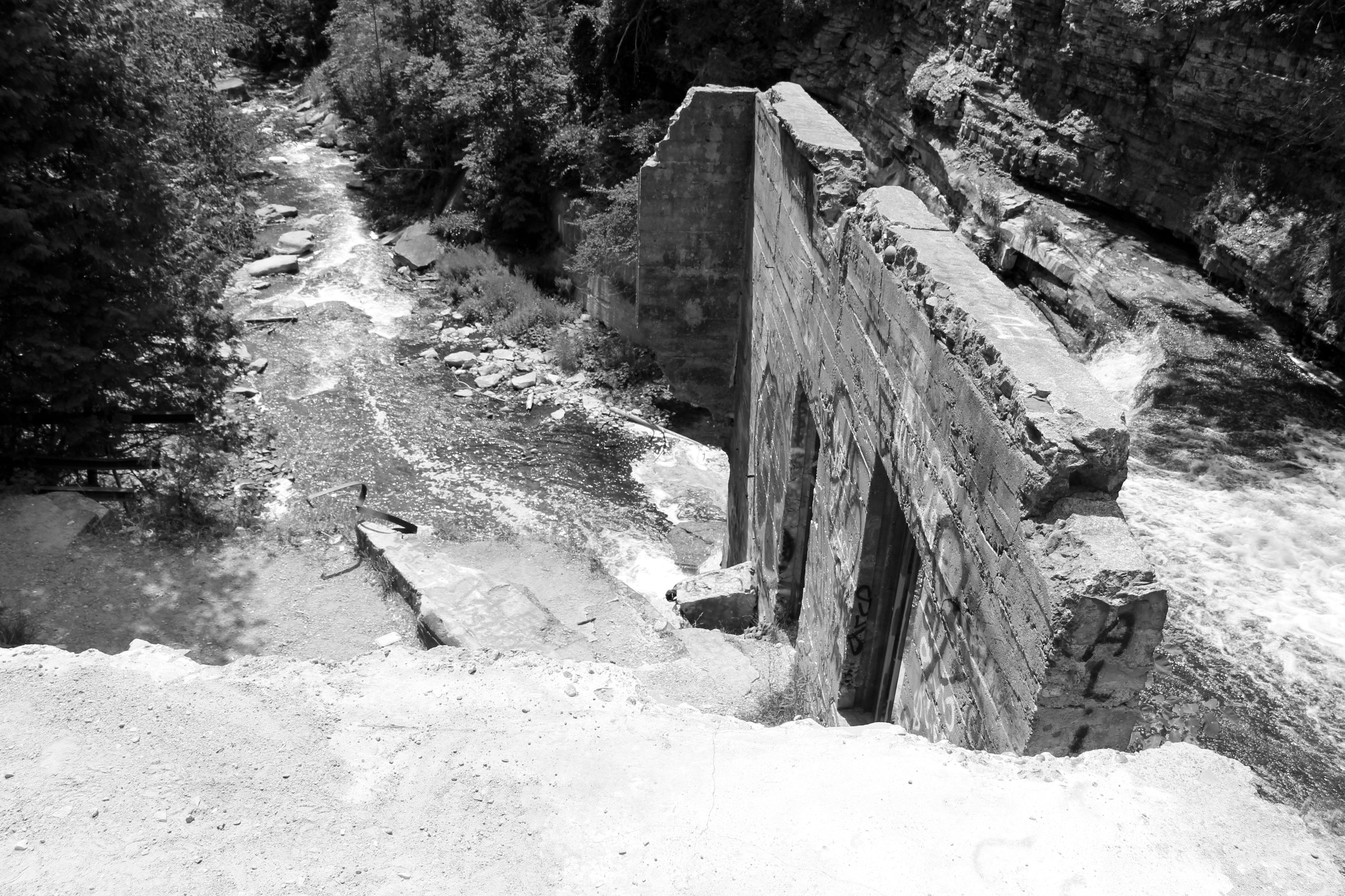 Black and white forks of the credit.jpg