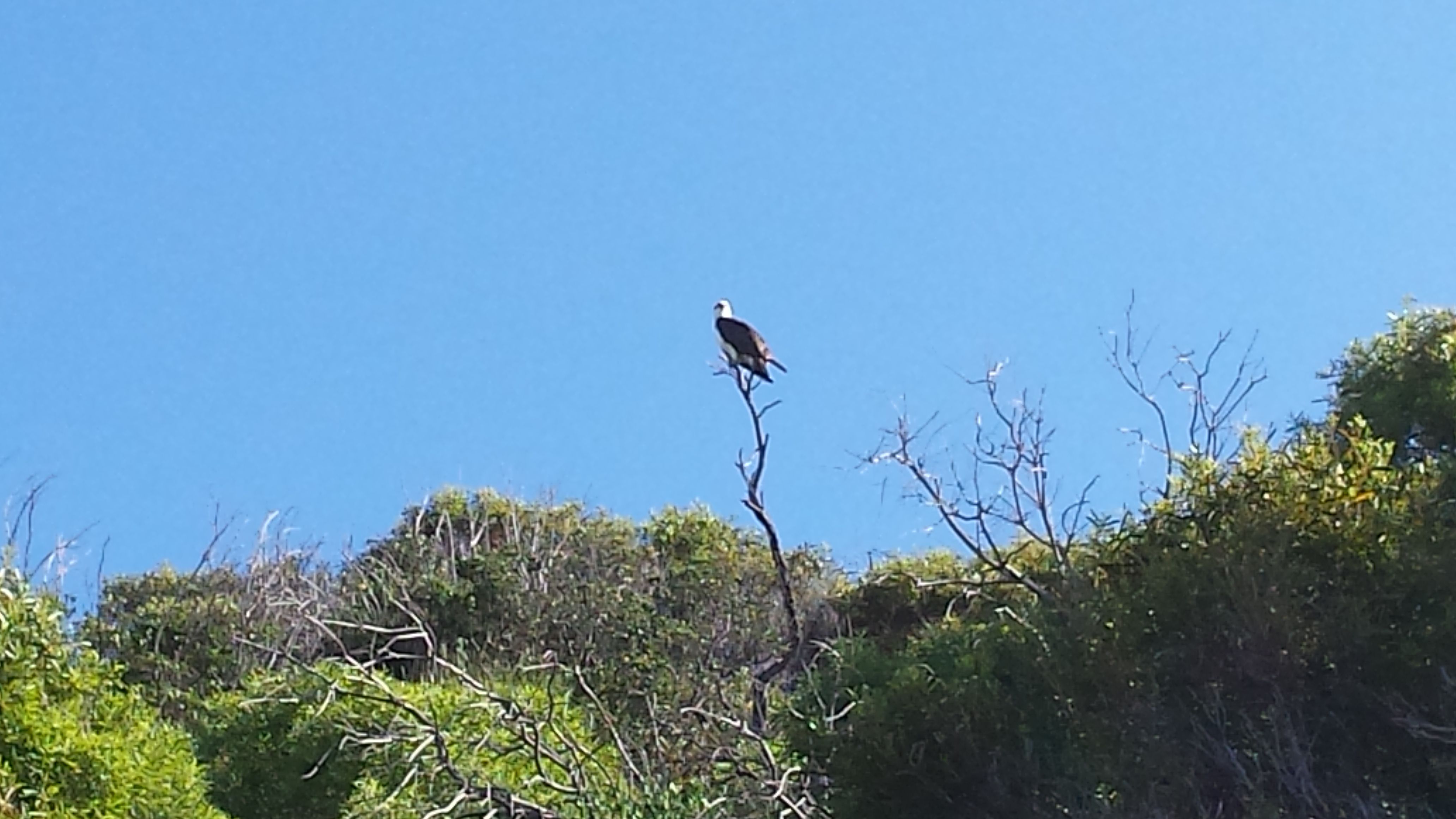 20150928_153305.jpg