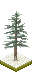 pine2_grass_m02.png