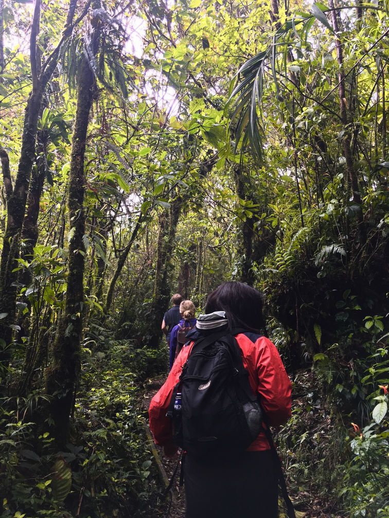 Monteverde4.jpg