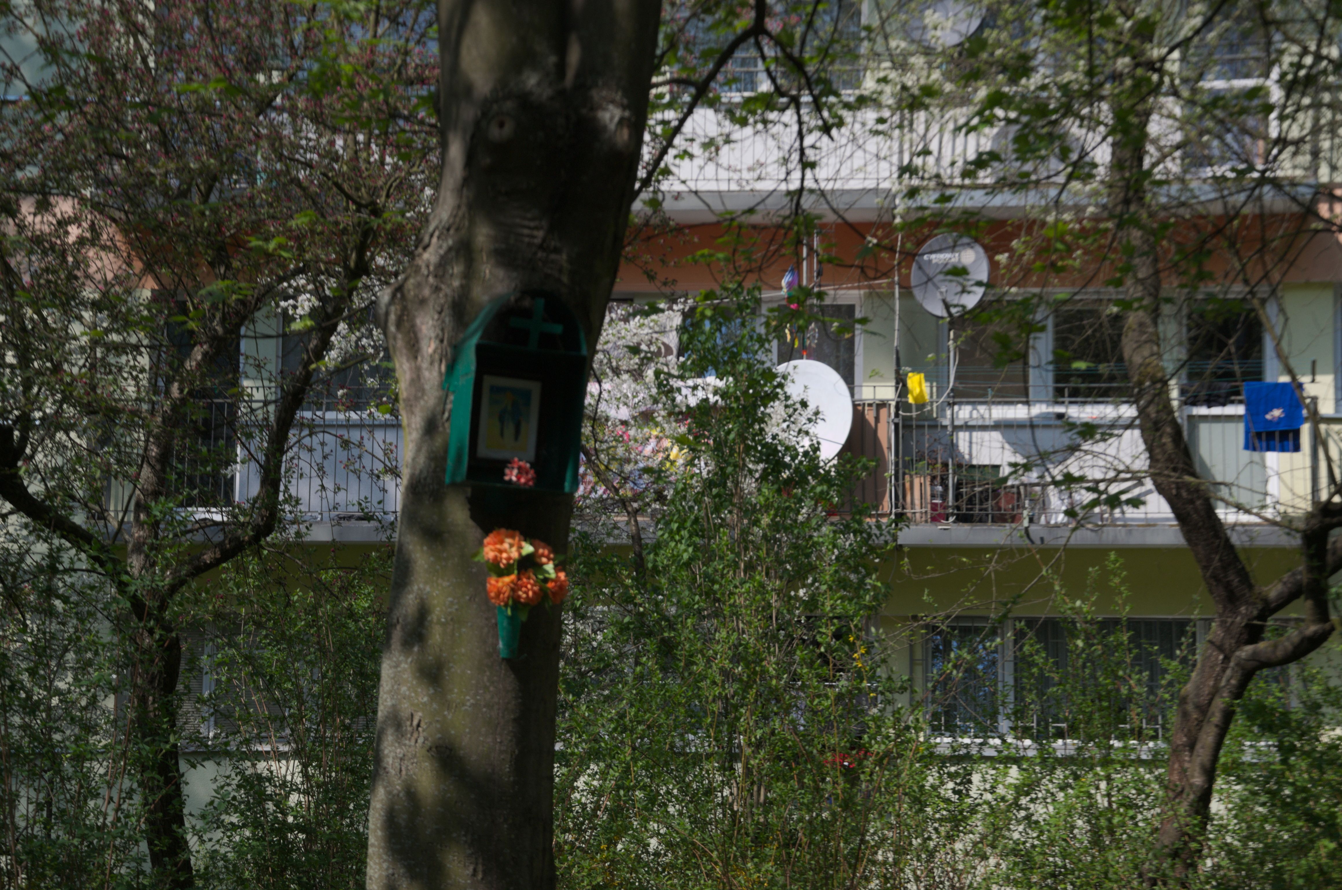 DSC_0039.jpg