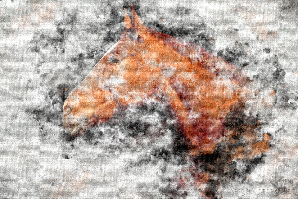 Horse Watercolor.jpg