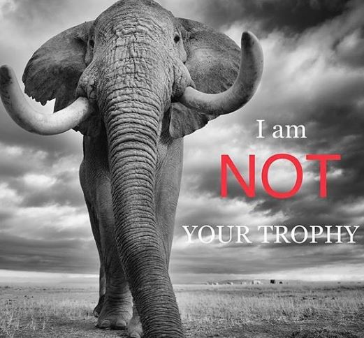 I am not your trophy.JPG