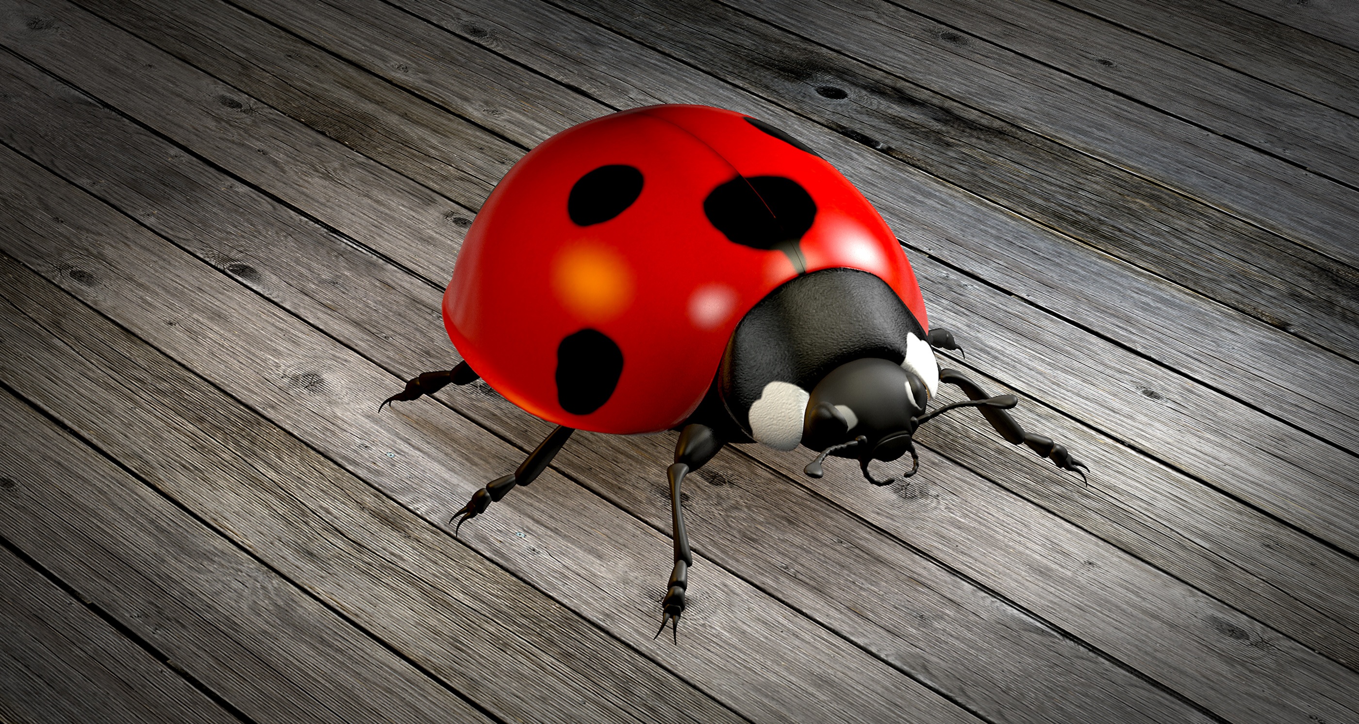 ladybug-1919216.jpg
