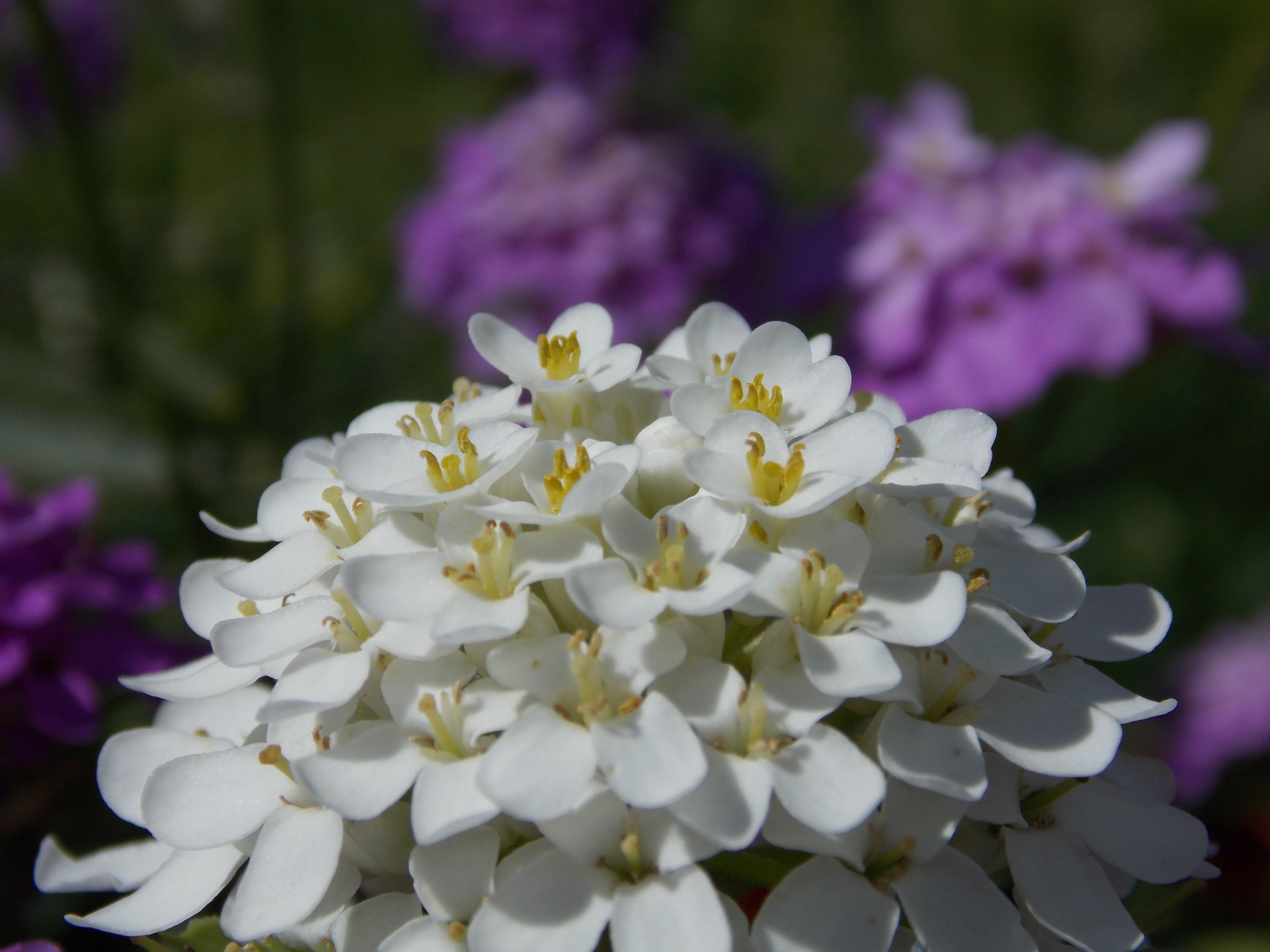 DSCN6560.JPG