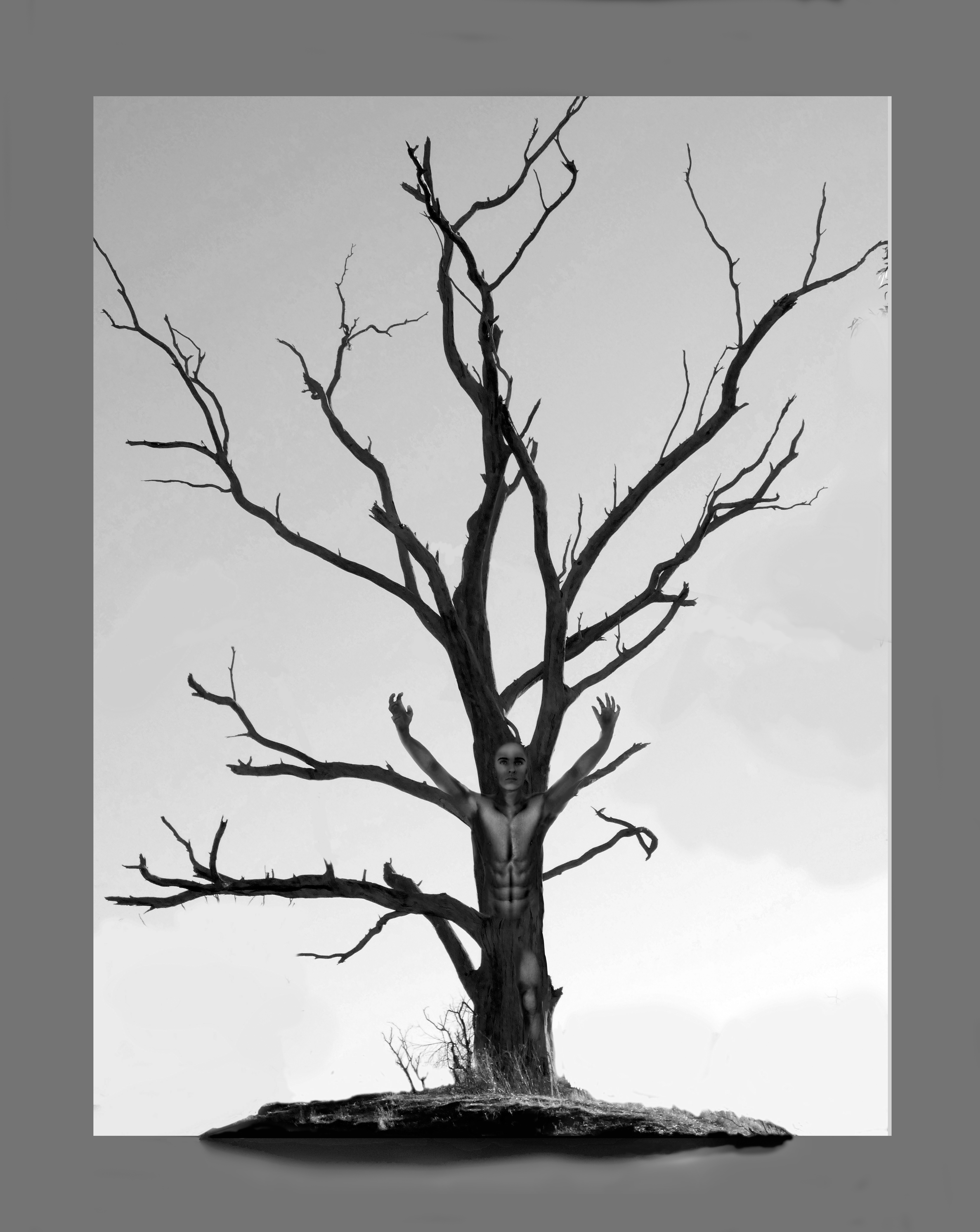 01treespirit.jpg