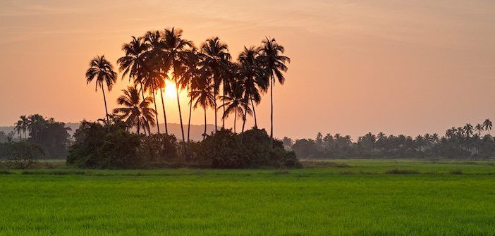 India-Village-Field-702x335.jpg