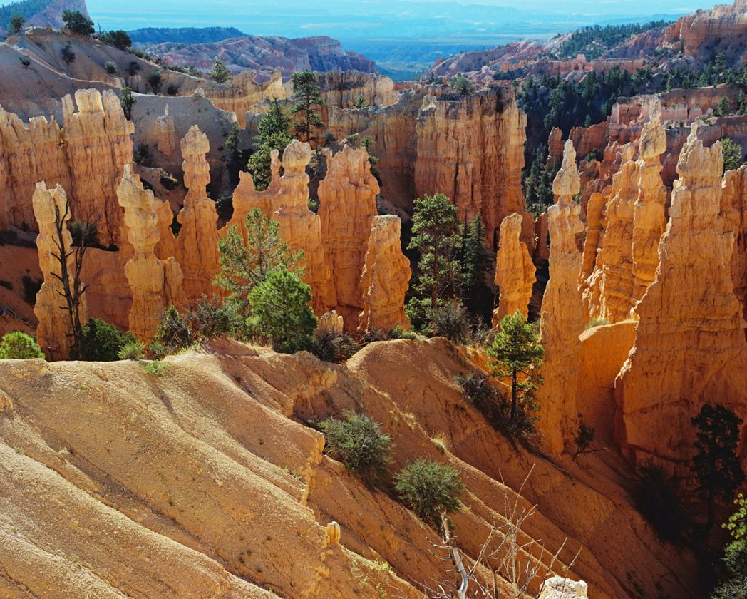 #29 7x9 fairyland canyon.jpg