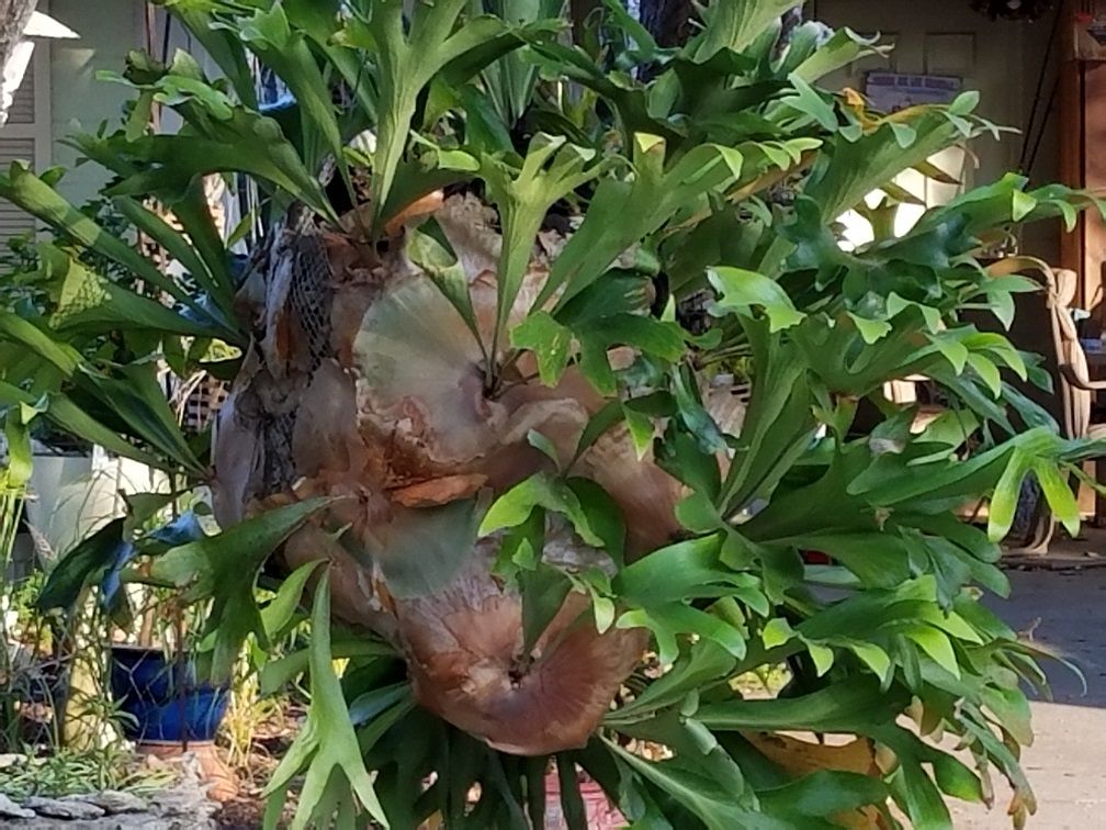 20180319_184046.jpg