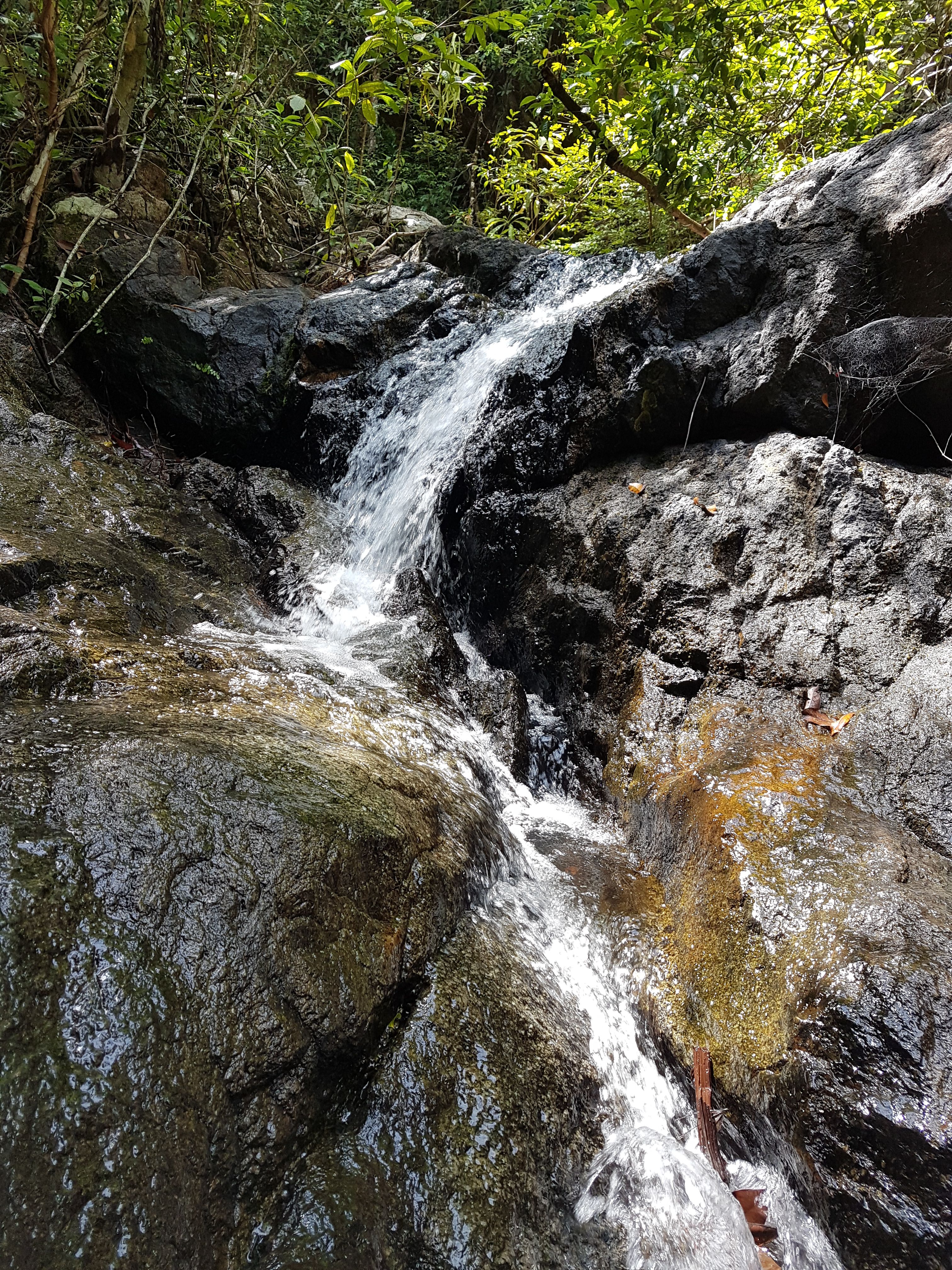 20171004_100404.jpg