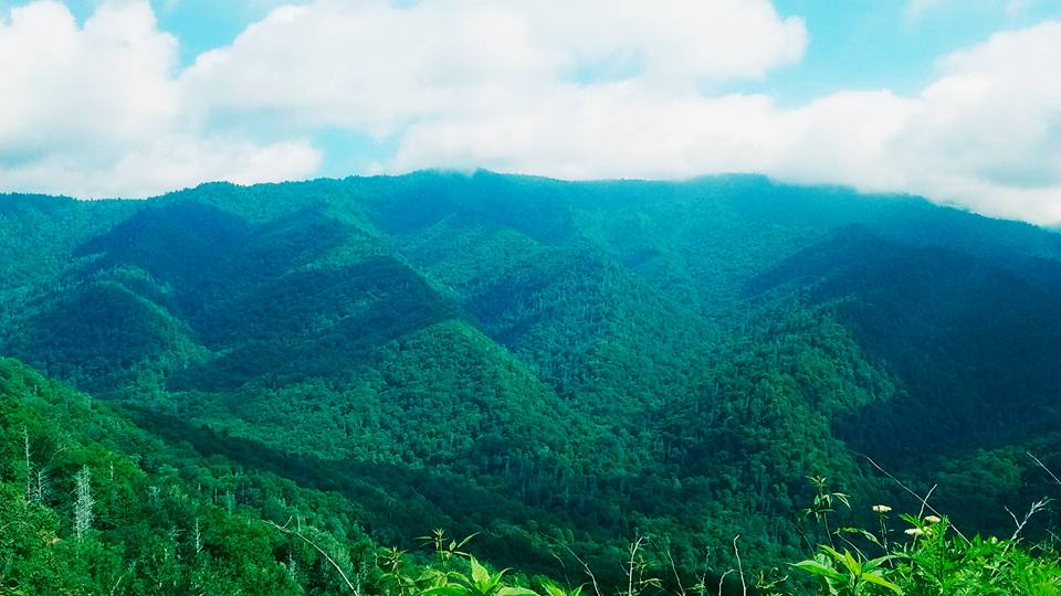 Great Smoky Mts..jpg