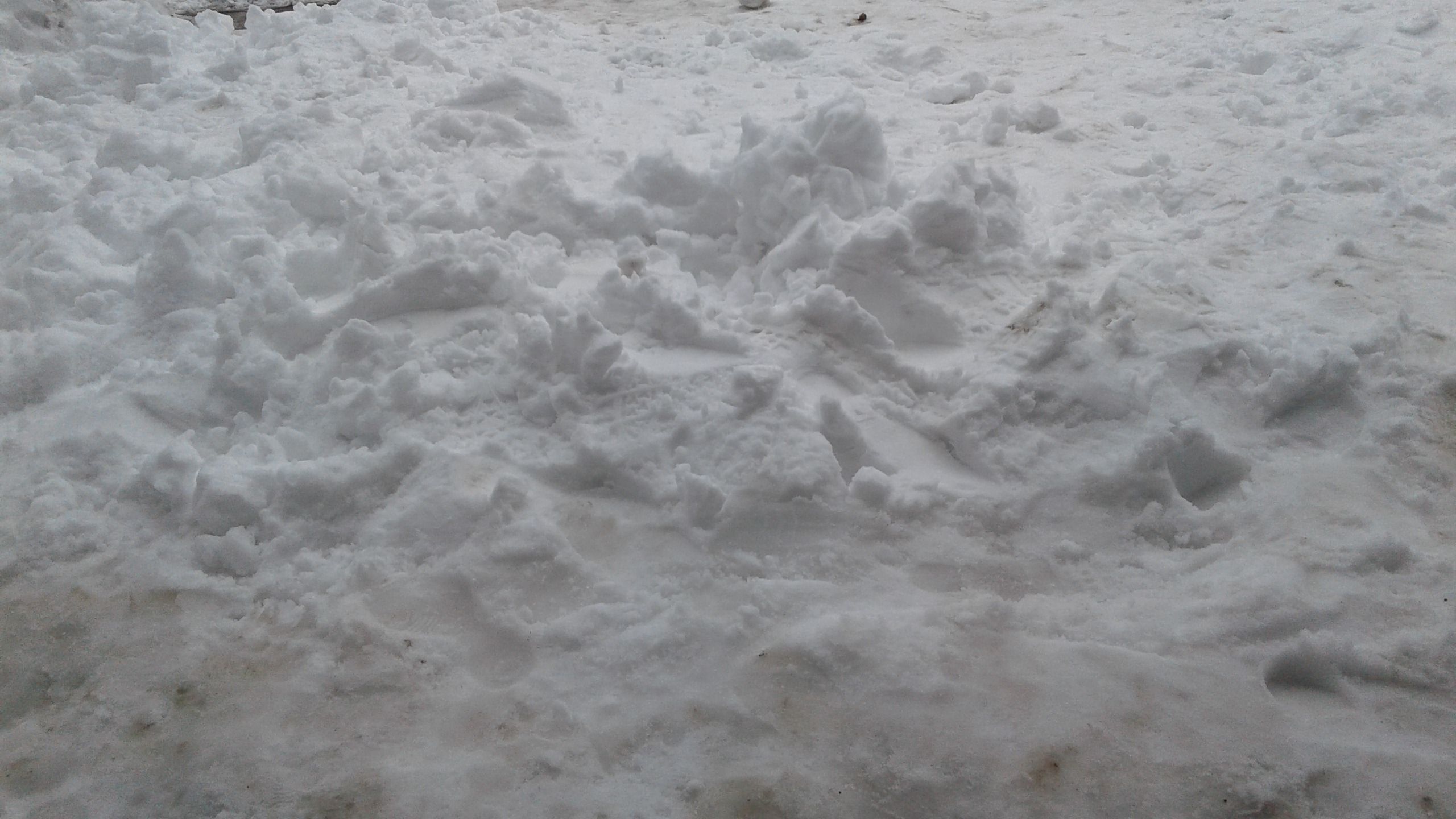 20180214_155139.jpg