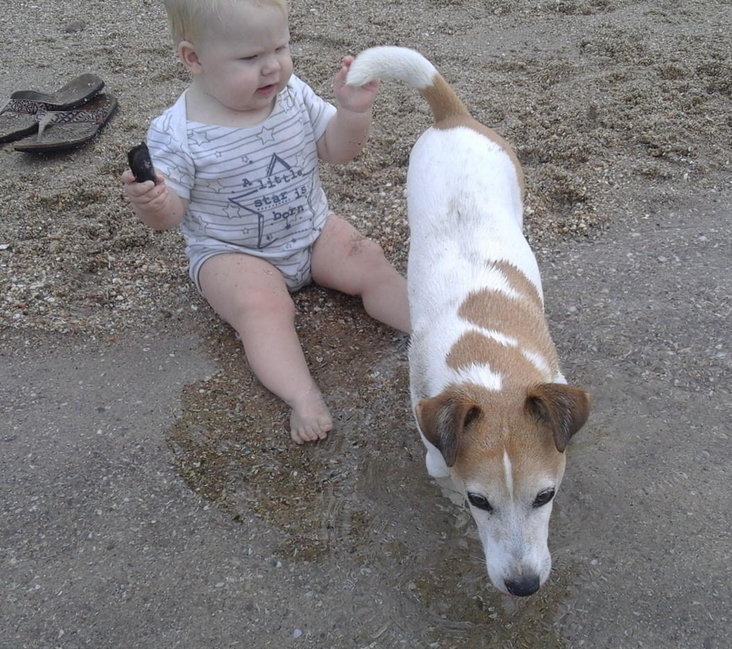 Foxbeachtjokkie.jpg