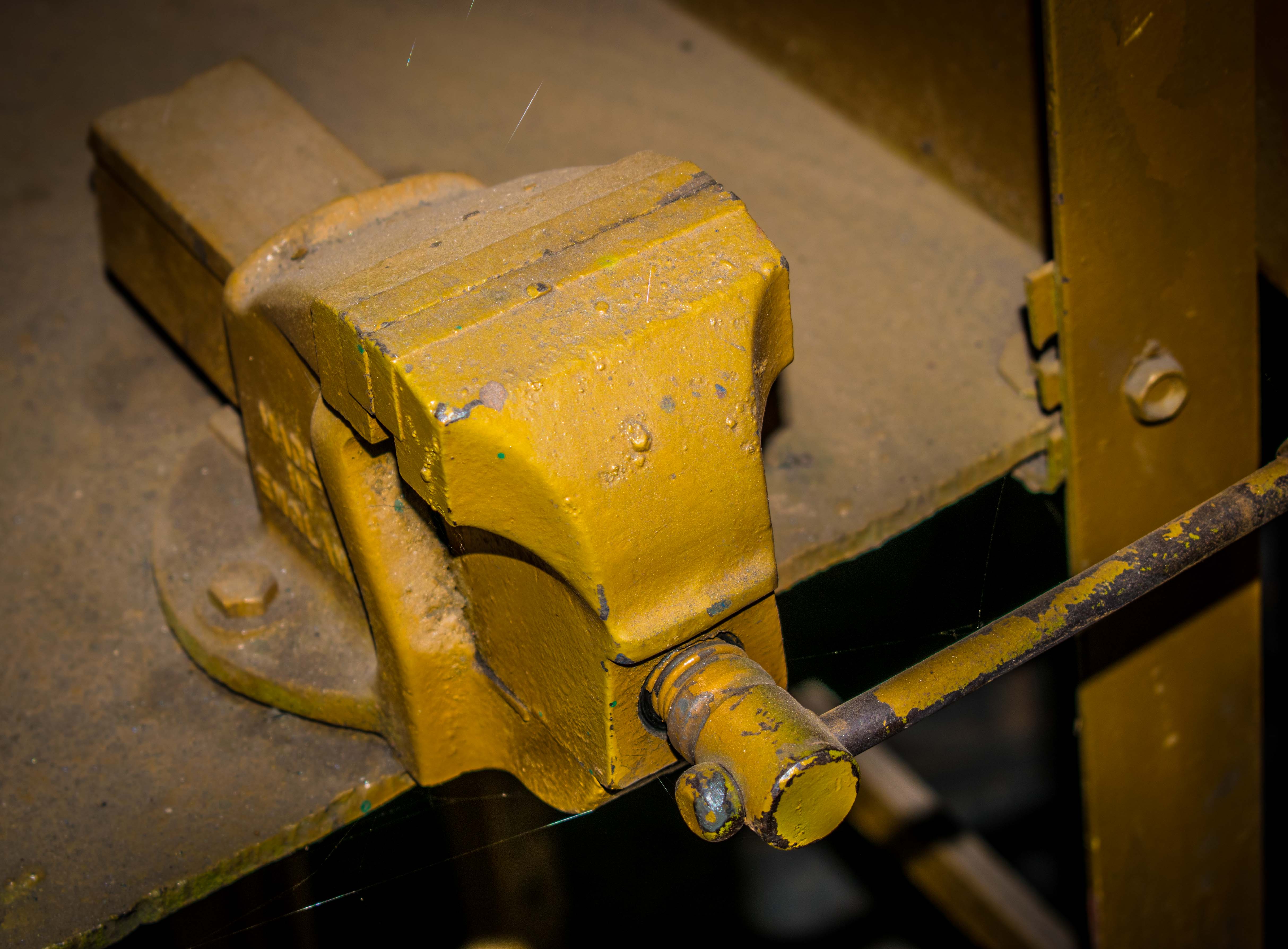 DSC_0216.jpg