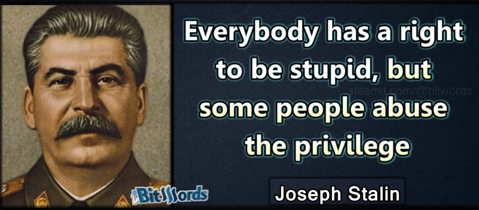 bitwords steemit quote of the day Everybody has a right to be stupid but some people abuse the privilege Joseph Stalin.JPG