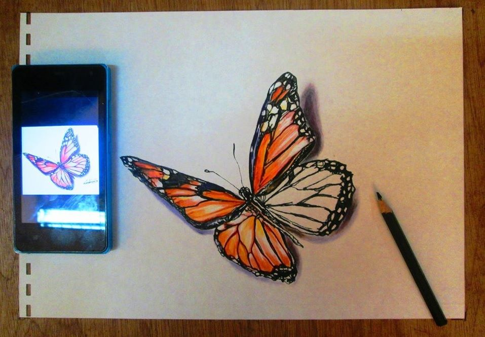 Butterfly Colored Pencil Drawing | TikTok