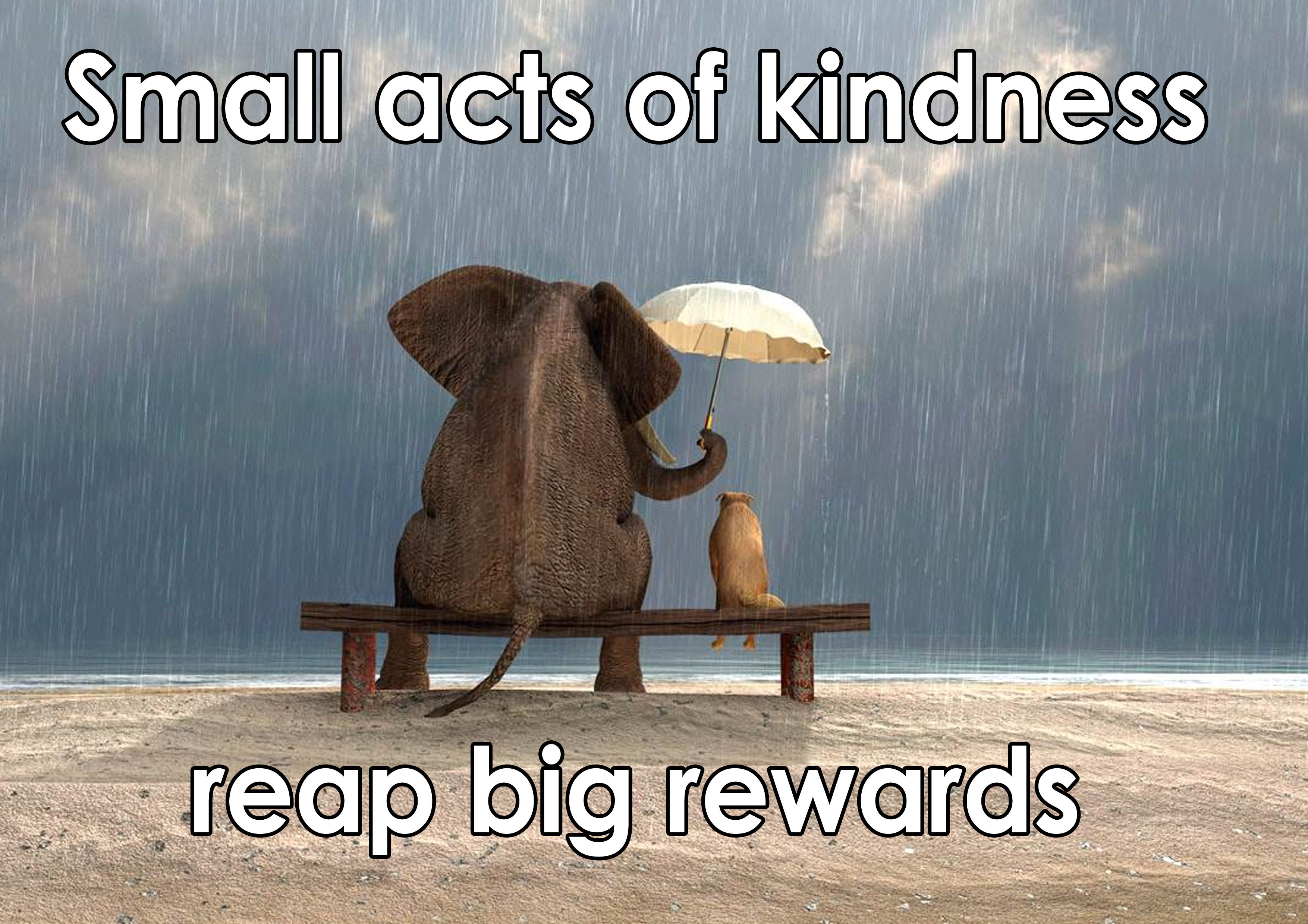 kindness.jpg