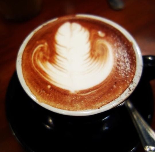 latte.jpg