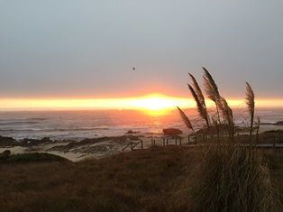 IMG_1867.JPG