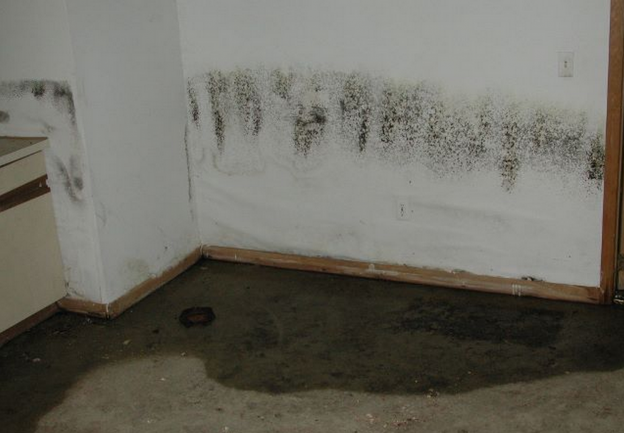 basement-waterproofing.png