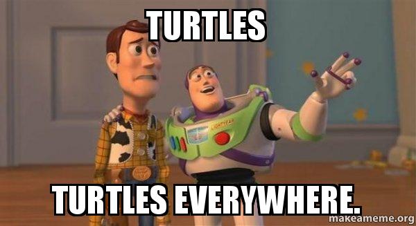 turtles-turtles-everywhere.jpg