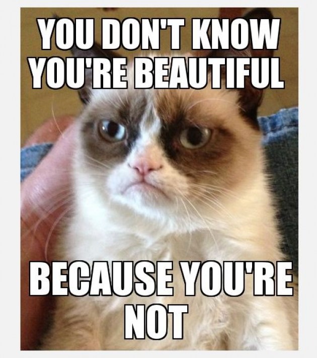 Beautiful-Grumpy-Cat.jpg