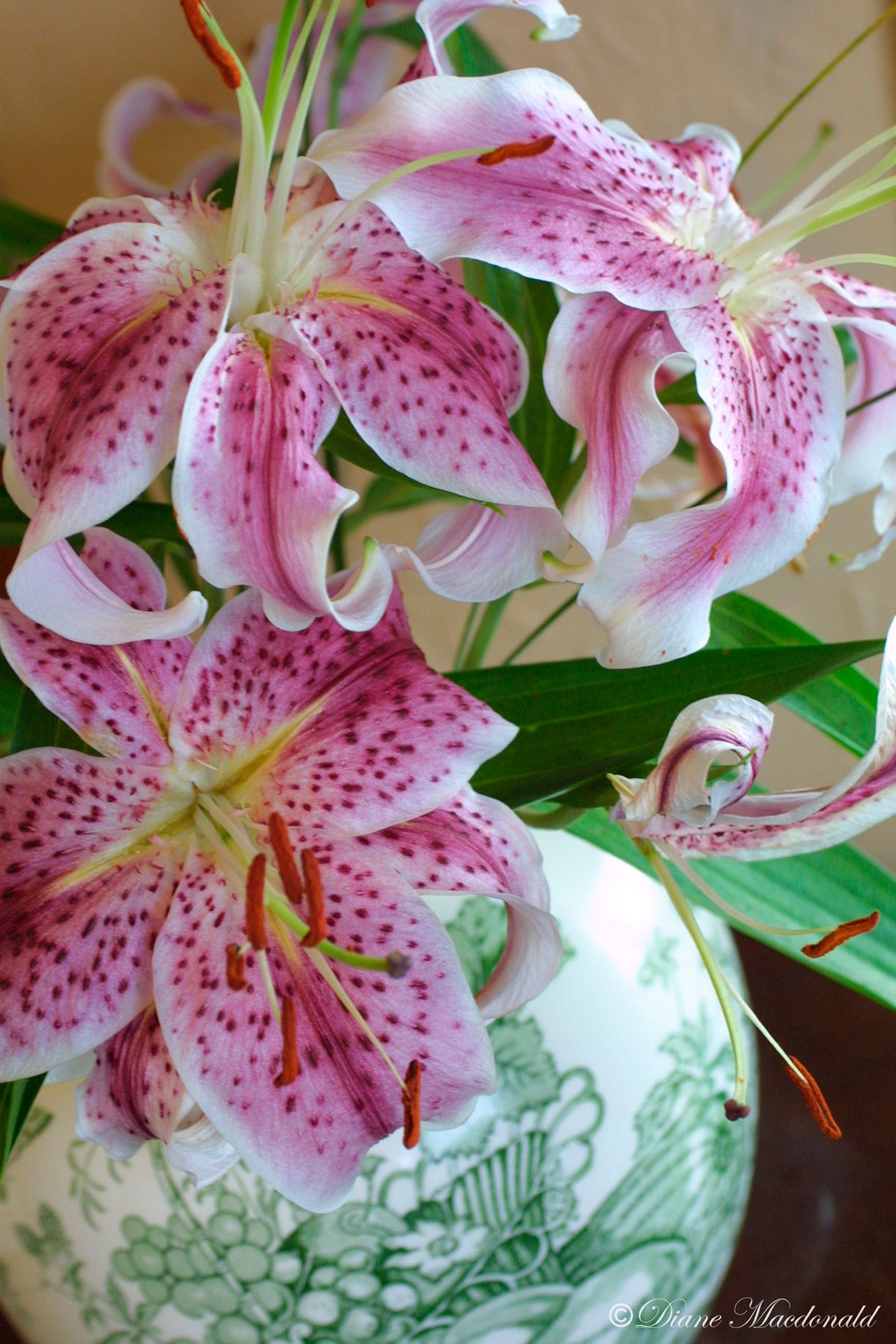 lilies original.jpg
